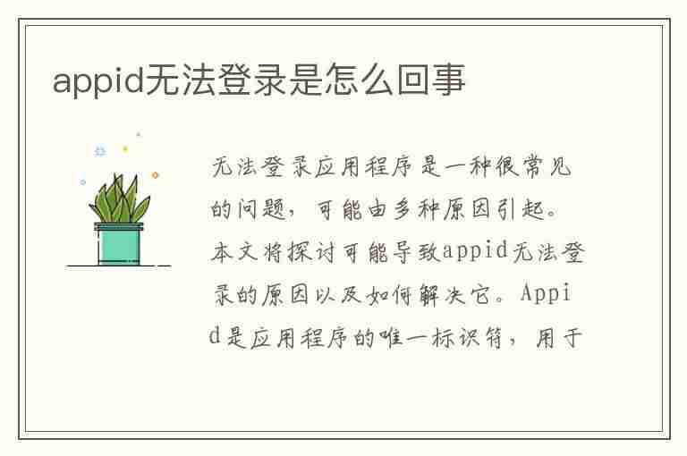 appid无法登录是怎么回事